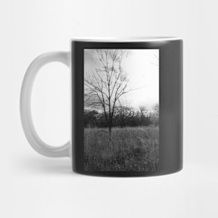 Quarry Hill Tree Mug